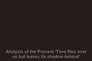 Analysis of the Proverb 'Time flies over us but leaves its shadow behind'