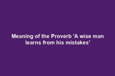 Meaning of the Proverb 'A wise man learns from his mistakes'