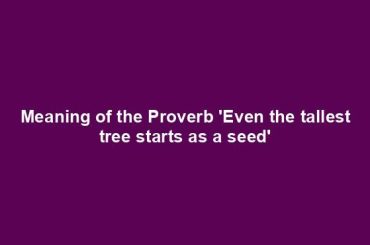 Meaning of the Proverb 'Even the tallest tree starts as a seed'