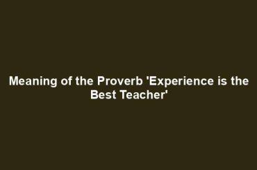 Meaning of the Proverb 'Experience is the Best Teacher'