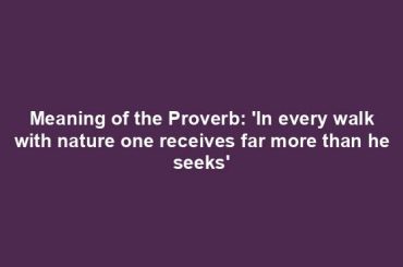 Meaning of the Proverb: 'In every walk with nature one receives far more than he seeks'