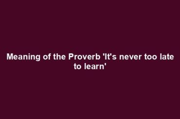 Meaning of the Proverb 'It's never too late to learn'