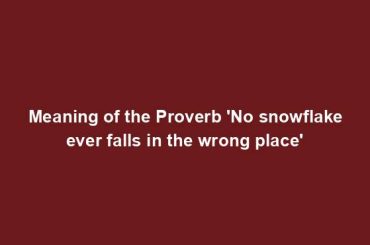 Meaning of the Proverb 'No snowflake ever falls in the wrong place'