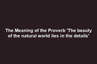 The Meaning of the Proverb 'The beauty of the natural world lies in the details'