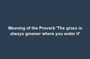 Meaning of the Proverb 'The grass is always greener where you water it'