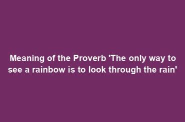 Meaning of the Proverb 'The only way to see a rainbow is to look through the rain'
