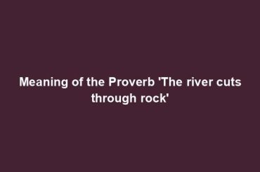 Meaning of the Proverb 'The river cuts through rock'