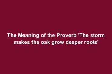 The Meaning of the Proverb 'The storm makes the oak grow deeper roots'