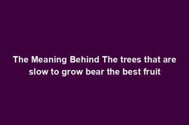 The Meaning Behind The trees that are slow to grow bear the best fruit