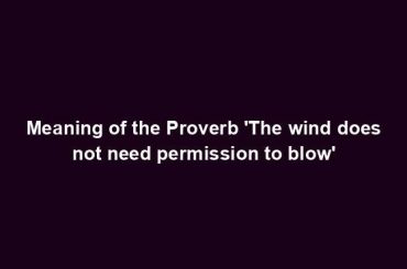 Meaning of the Proverb 'The wind does not need permission to blow'