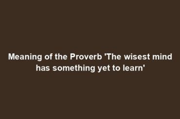 Meaning of the Proverb 'The wisest mind has something yet to learn'