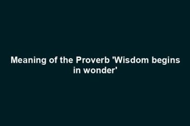 Meaning of the Proverb 'Wisdom begins in wonder'