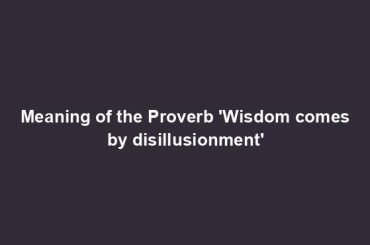 Meaning of the Proverb 'Wisdom comes by disillusionment'