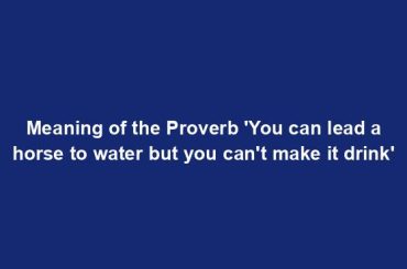 Meaning of the Proverb 'You can lead a horse to water but you can't make it drink'