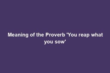 Meaning of the Proverb 'You reap what you sow'